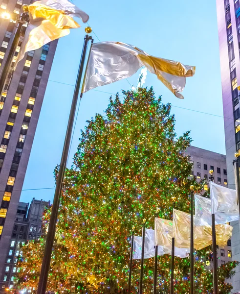 Kerstboom en vlaggen — Stockfoto
