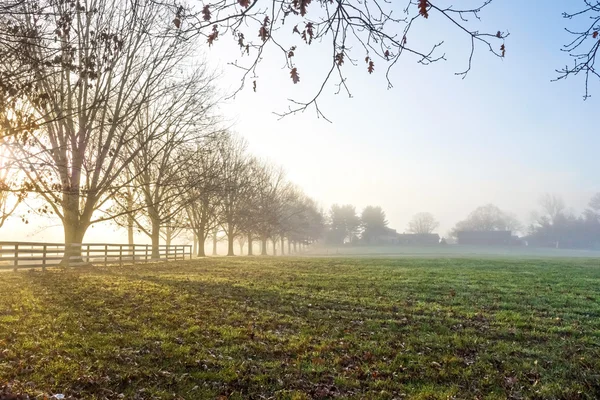 Landsbygdens Dimmig morgon — Stockfoto