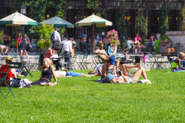 güneşli bir gün parkta