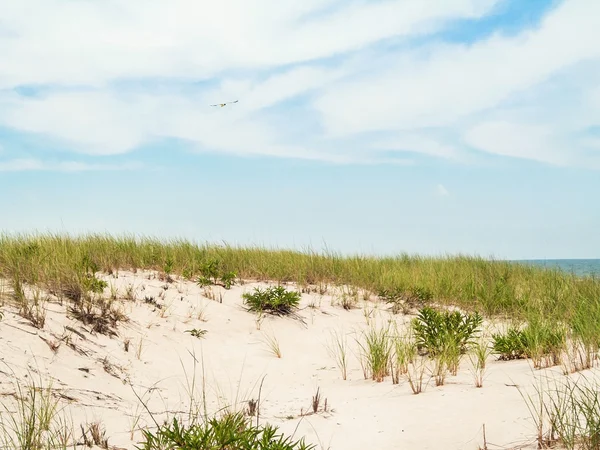 Beach Scape Nj — Stok fotoğraf