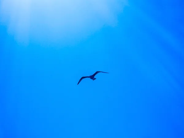 Céu fundo de luz — Fotografia de Stock