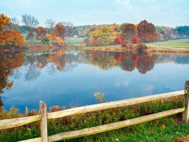 Sonbahar gölet görünümü