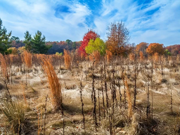 Podzimní krajina pole — Stock fotografie