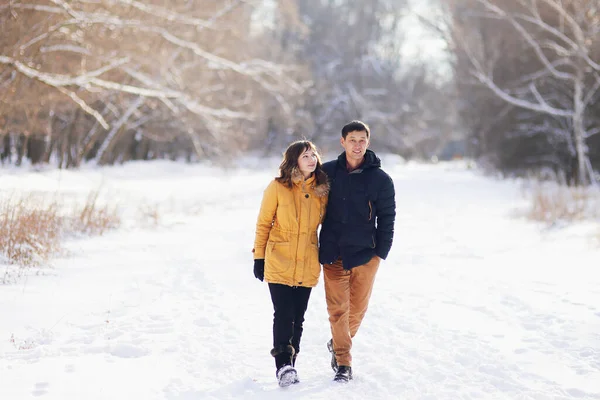 Em um dia de inverno, um jovem casal caminha em um abraço no parque e se comunica — Fotografia de Stock