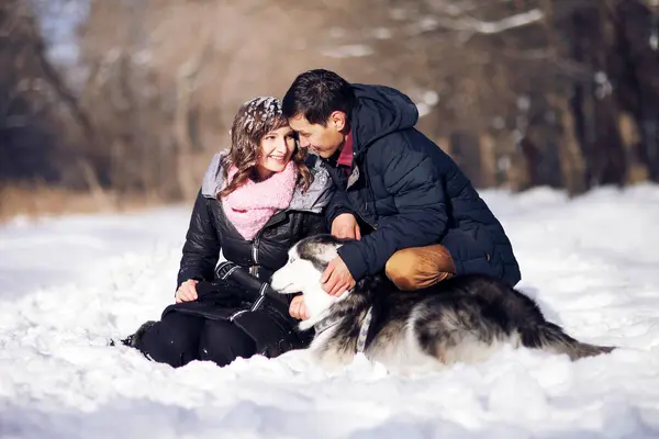 Casal atraente sorrindo e se divertindo no parque de inverno com seu cão husky — Fotografia de Stock