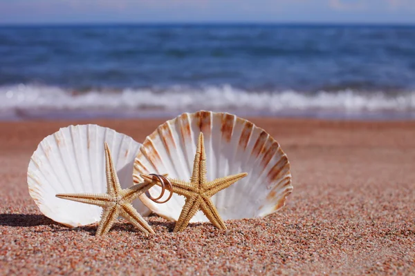 Starfish on the beach — Stock Photo, Image