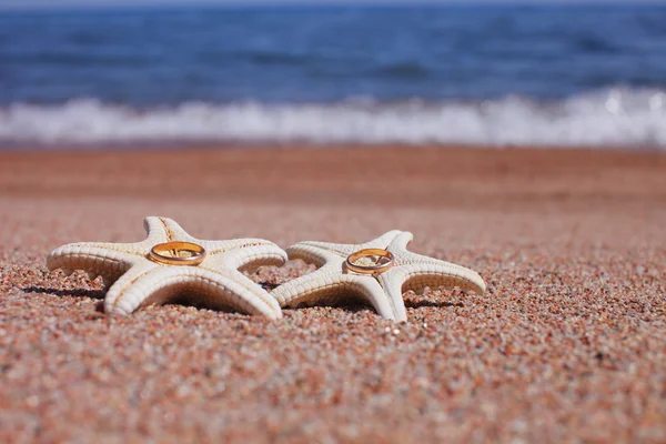 Starfish on the beach — Stock Photo, Image