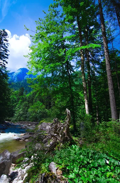 River - Austria — Stock Photo, Image