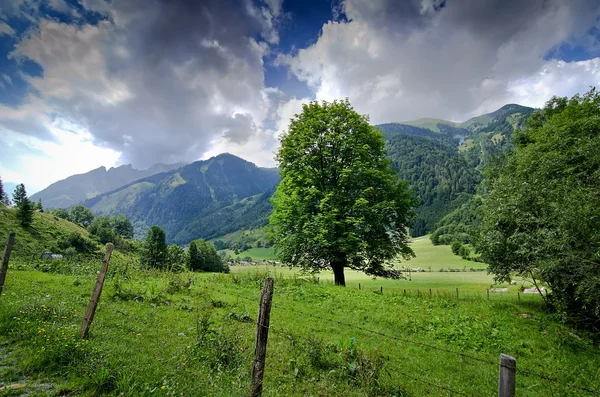 Grossglockner - Österrike — Stockfoto