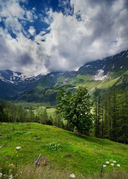 Alpen — Stok Foto