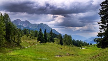 Alpendorf - Avusturya