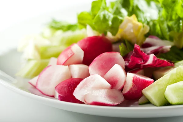 Fresh Vegetables Plate — Stock Photo, Image