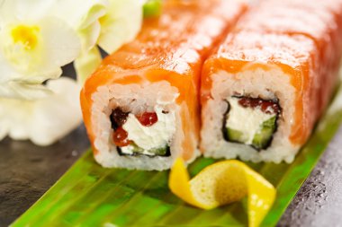 Somon suşi roll