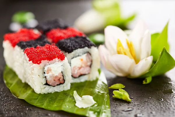 Chess Sushi rulle — Stockfoto