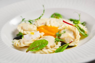 Kremalı peynirli balkabağı Pierogis. Süzme peynir dolması. Geleneksel Polonya yemeği. Parlak arkaplan.