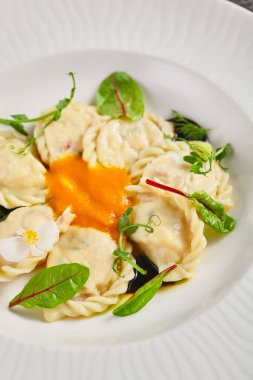 Kremalı peynirli balkabağı Pierogis. Süzme peynir dolması. Geleneksel Polonya yemeği. Parlak arkaplan.