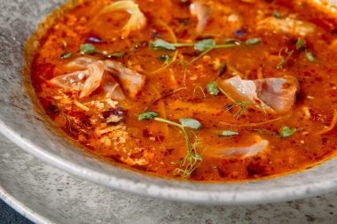 Rus mutfağı, koyu dokulu masada Solyanka Çorbası. Et dilimi ve sebzeli baharatlı ve ekşi çorba. Koyu arkaplanda seramik kase