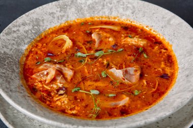 Rus mutfağı, koyu dokulu masada Solyanka Çorbası. Et dilimi ve sebzeli baharatlı ve ekşi çorba. Koyu arkaplanda seramik kase