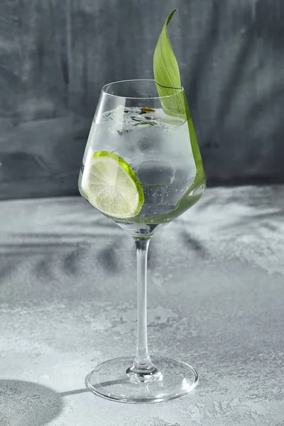 Asiatisk Gin Tonic Cocktail För Livsstil Design Sommar Cocktail Asiatiska — Stockfoto