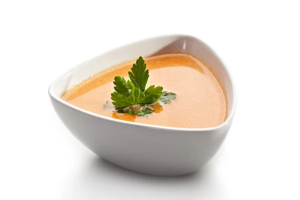 Salmon Soup — Stock Photo, Image