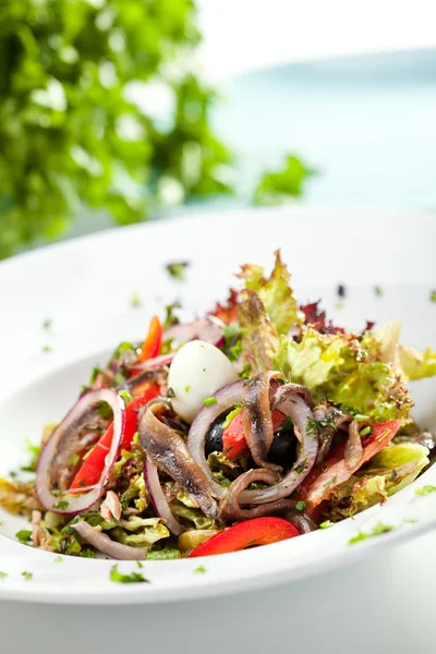 Salaatti sardellin kanssa — kuvapankkivalokuva