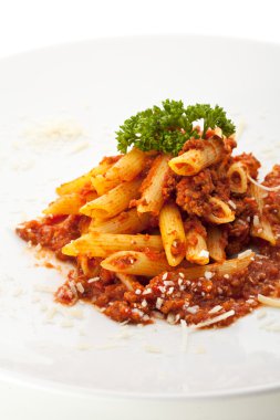 makarna penne