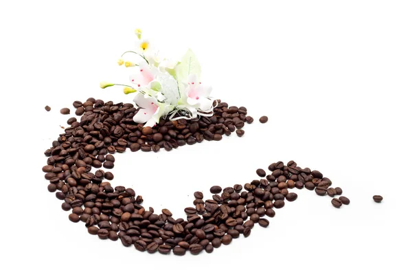 Coffee Seed — Stock Photo, Image