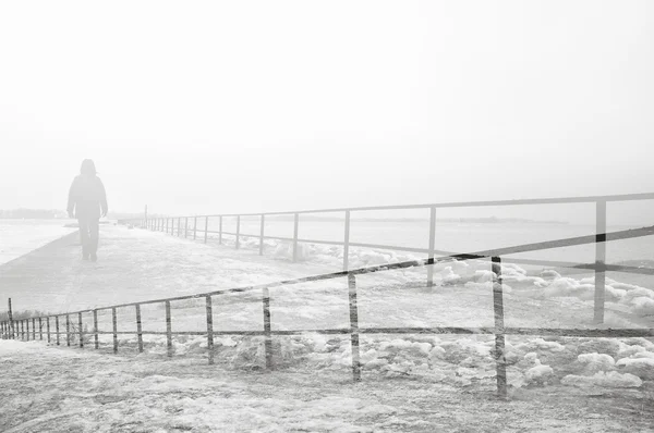 Lonely caminar en la niebla — Foto de Stock