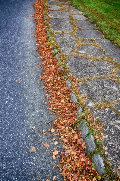 Autumn leaves in the gutter. — Stock Photo, Image