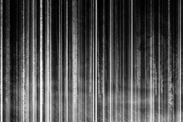 Árvores Bétula Abstratas Movimento Borrão Preto Branco — Fotografia de Stock