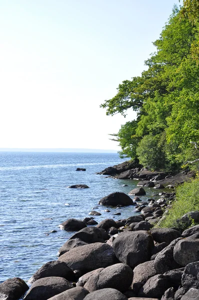 By the lake — Stock Photo, Image