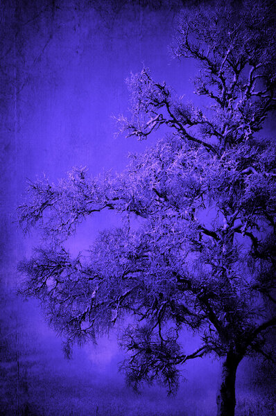 Blue background texture with tree pattern.