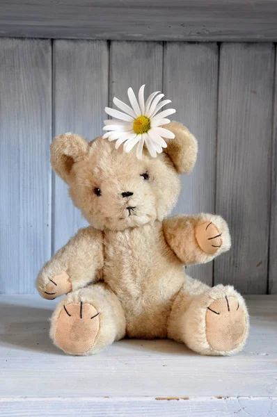 Orso dei fiori — Foto Stock