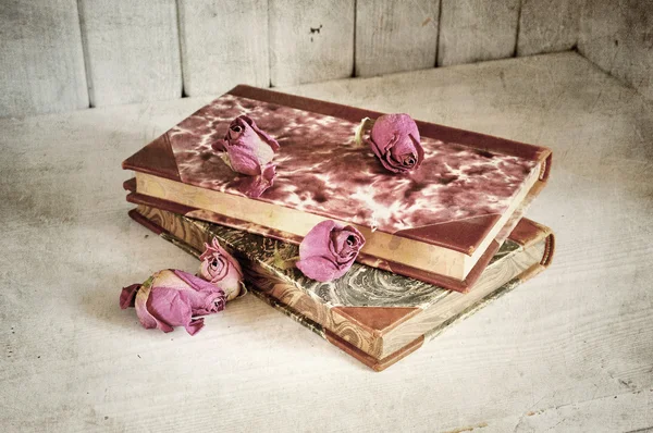 Roses sur les livres — Photo