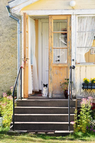 Gato na varanda — Fotografia de Stock