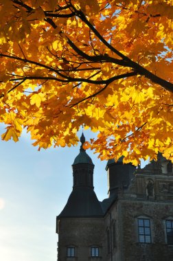 Kale ile sonbahar ağacı