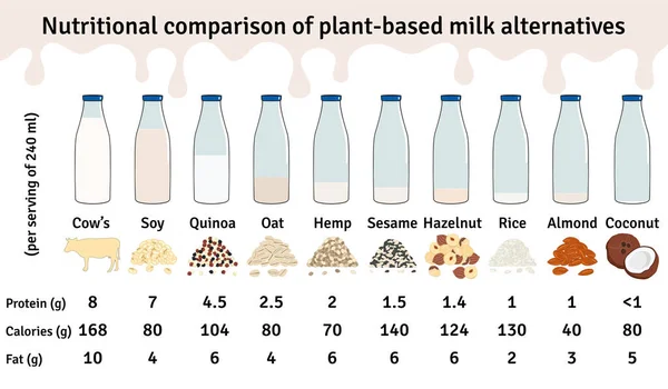 Zestaw Butelek Mlekiem Roślinnym Wegańskie Białko Mleka Infograficzne — Wektor stockowy