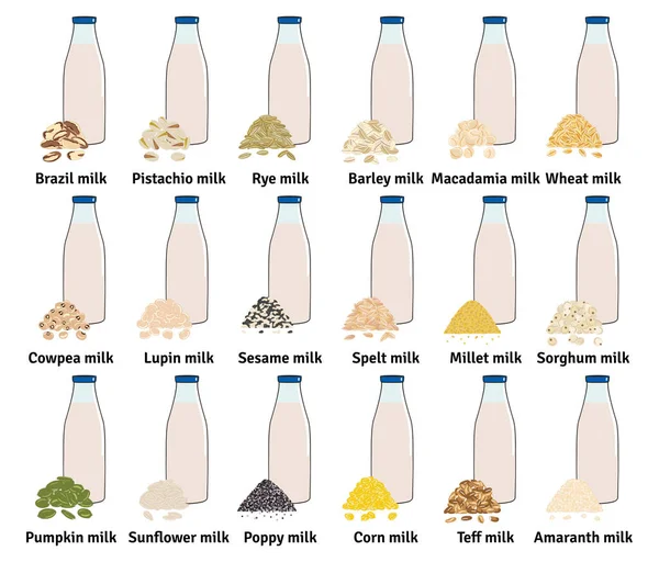 Ensemble Bouteilles Avec Lait Origine Végétale Lait Végétalien Bouteilles Verre — Image vectorielle