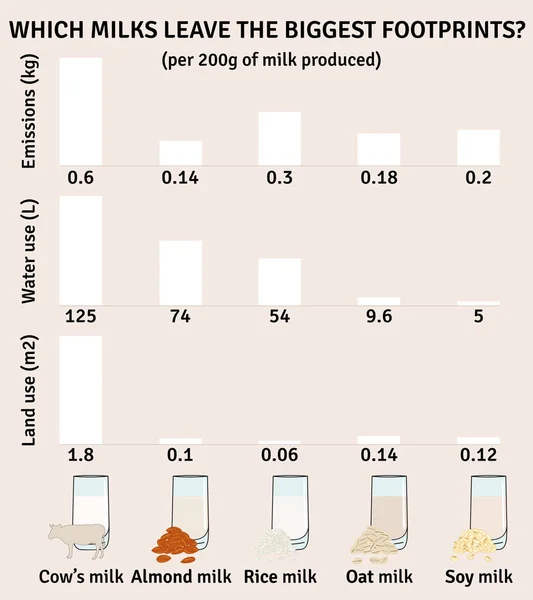 Impacto Dos Tipos Leite Ambiente Infográfico Leite Leite Amêndoa Soja — Vetor de Stock