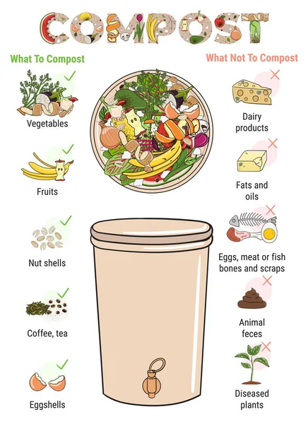 Infographic Composting Bin Kitchen Scraps What Compost Food Wasted Recycling — Stock Vector