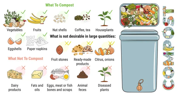 Infographic Van Composteerbak Met Keukenresten Wat Composteren Niet Geen Eten — Stockvector
