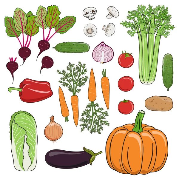 一组蔬菜 西红柿 胡萝卜 卷心菜 洋葱和黄瓜 农业健康产品 有机病媒食物 手绘矢量图解 — 图库矢量图片