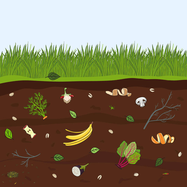 Ground cutaway with food scraps. Recycling organic waste. Farming and agriculture. Hand drawn vector illustration.