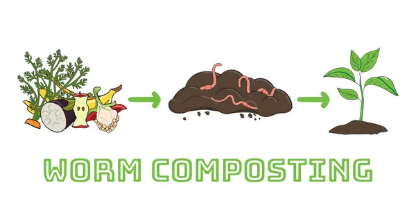 Esquema Reciclagem Resíduos Orgânicos Coleta Restos Cozinha Para Usar Composto —  Vetores de Stock