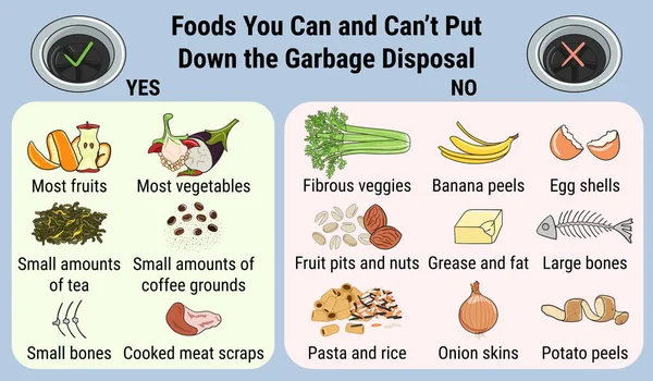 Infografía Del Eliminador Desperdicios Alimentos Para Fregadero Cocina Casera Con — Vector de stock