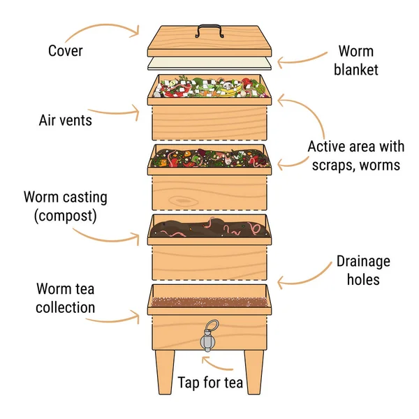 Infografica Vermicompostaggio Componenti Del Vermicomposter Vermicomposter Disegno Schematico Compostaggio Vermi — Vettoriale Stock