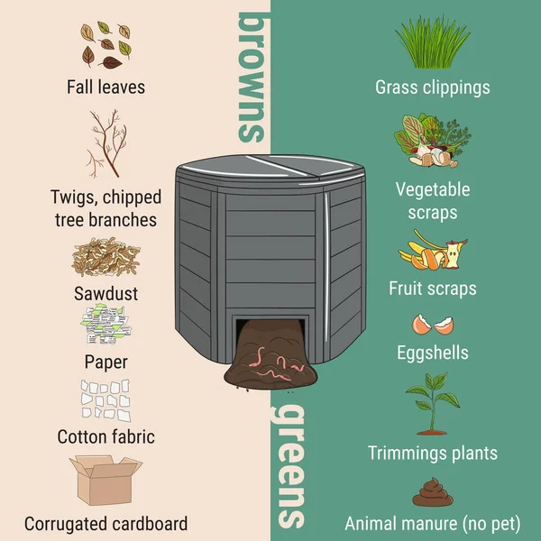 Infographic of garden composting bin with scraps. What to compost. Green and brawn ratio for composting. Recycling organic waste. Sustainable living concept. Hand drawn vector illustration. — Stock Illustration Infographic Garden Composting Bin Scraps What Compost Green Brawn Ratio Stock Illustration