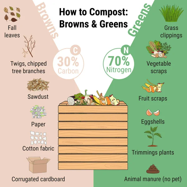 Infographic of garden composting bin with scraps. What to compost. Green and brawn ratio for composting. Recycling organic waste. Sustainable living concept. Hand drawn vector illustration. — Stock Illustration Infographic Garden Composting Bin Scraps What Compost Green Brawn Ratio Stock Illustration