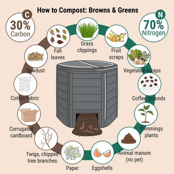 Infographic of garden composting bin with scraps. What to compost. Green and brawn ratio for composting. Recycling organic waste. Sustainable living concept. Hand drawn vector illustration. — Stock Illustration Infographic Garden Composting Bin Scraps What Compost Green Brawn Ratio Royalty Free Stock Illustrations