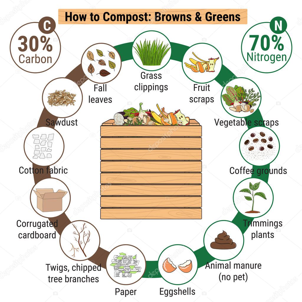 Infographic of garden composting bin with scraps. What to compost. Green and brawn ratio for composting. Recycling organic waste. Sustainable living concept. Hand drawn vector illustration. 